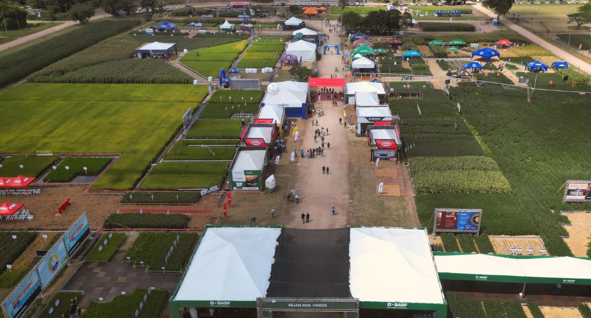 35ª Abertura Oficial da Colheita do Arroz mira a sustentabilidade