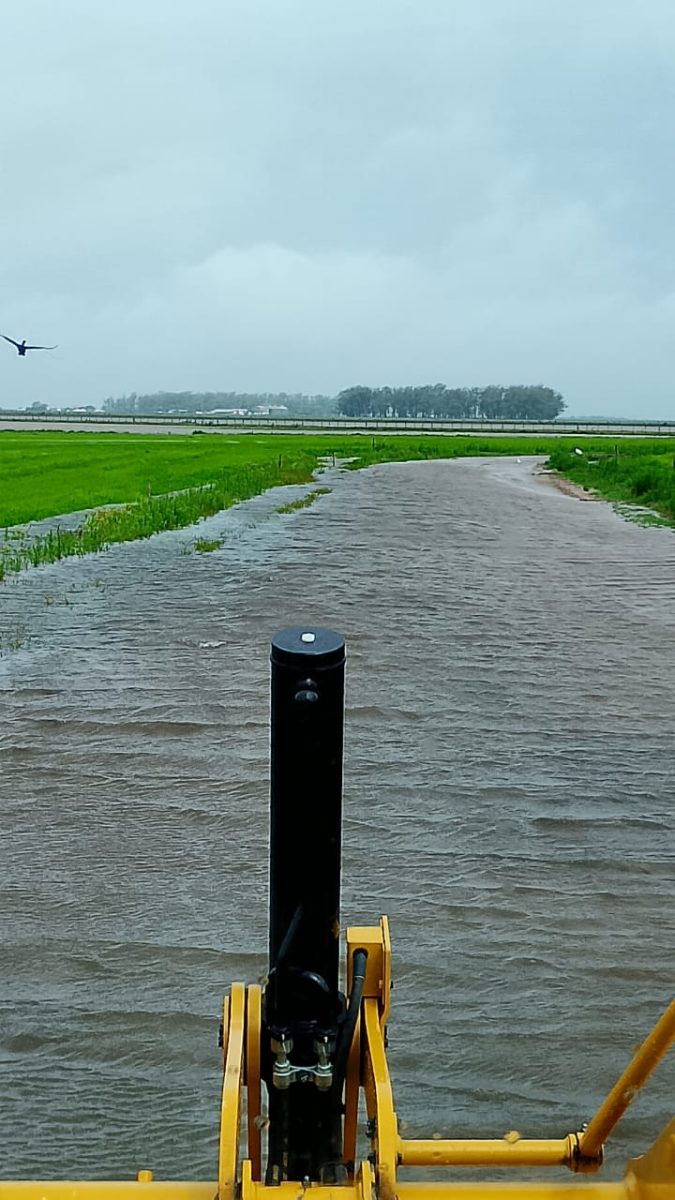 Nosso agro e nosso comportamento