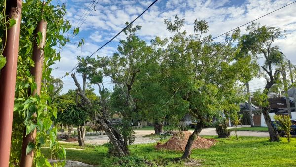 Quinta-feira sem previsão de chuva na Zona Sul