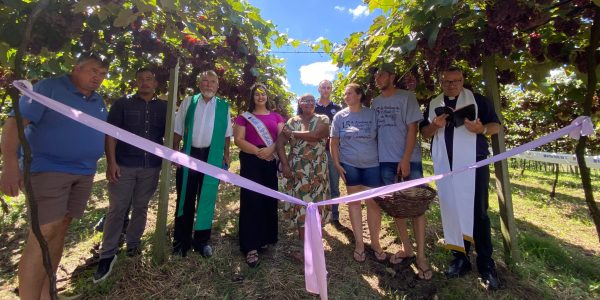 Evento marca início da colheita da uva em Pelotas