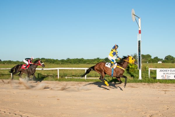 Fera do Manno surpreende e vence o GP Cidade do Rio Grande