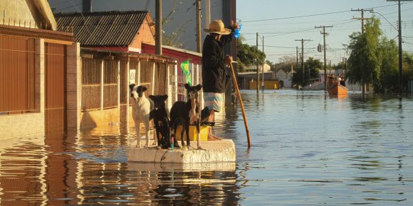 Conferência do Meio Ambiente começa nesta sexta-feira