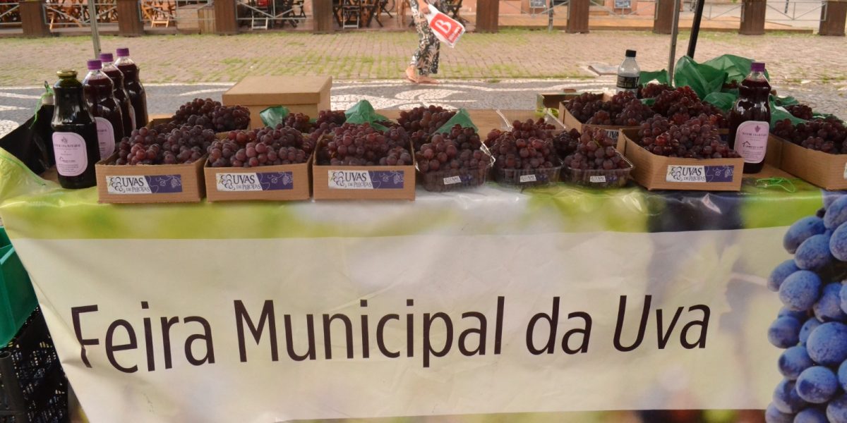 Feira Municipal incrementa comercialização de uvas