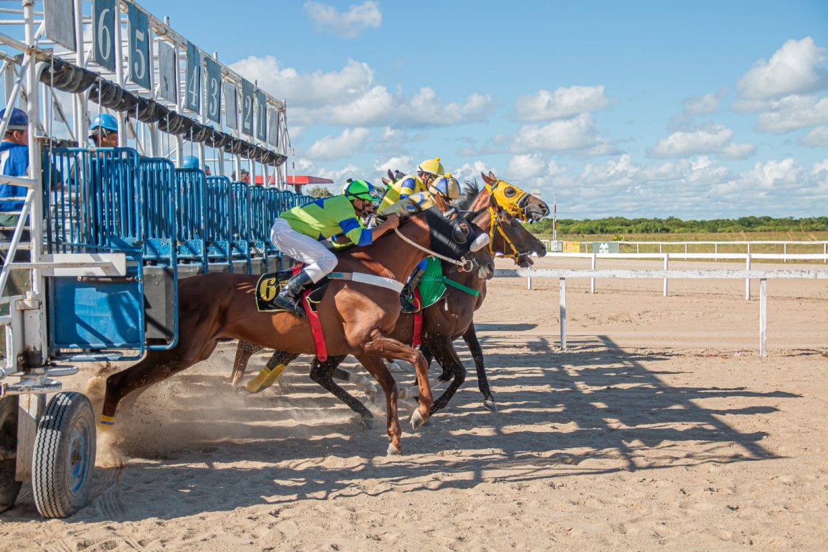 Domingo é dia de clássico e cinco corridas no Jockey Club de Pelotas