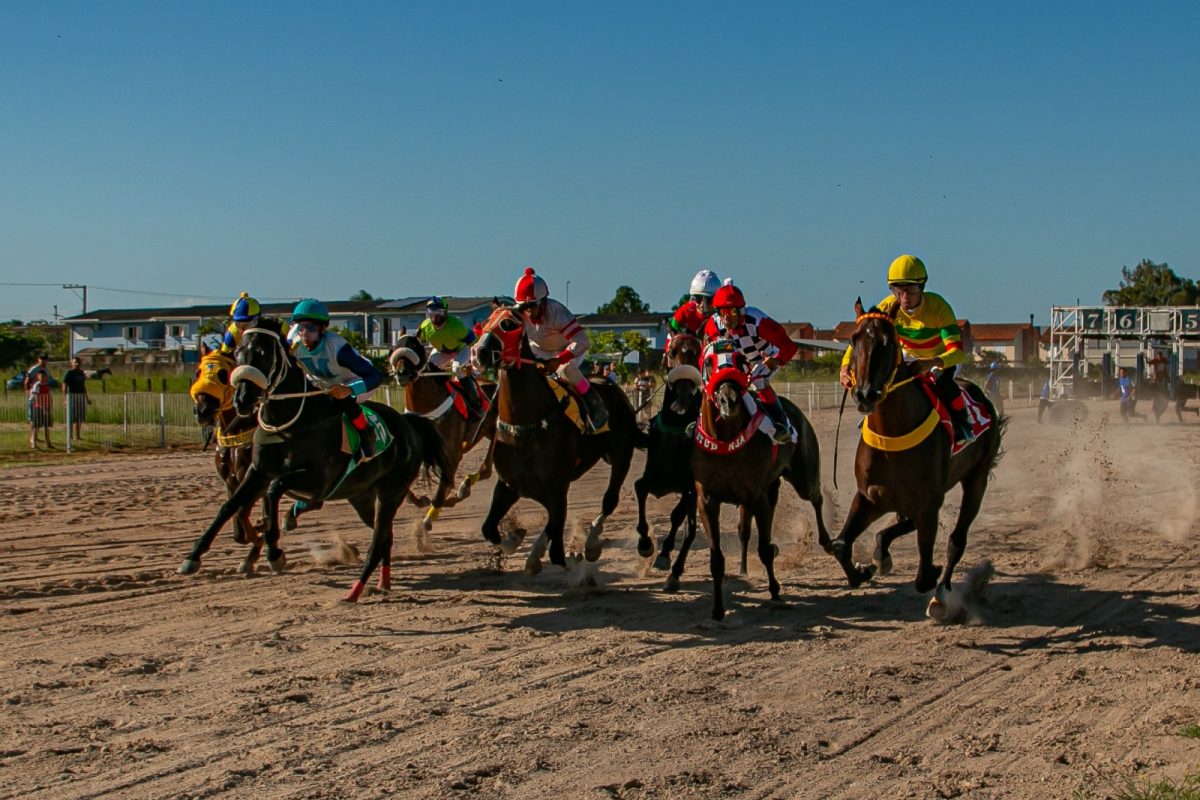 Sob nova direção, Jockey Club retoma temporada com quatro páreos no domingo