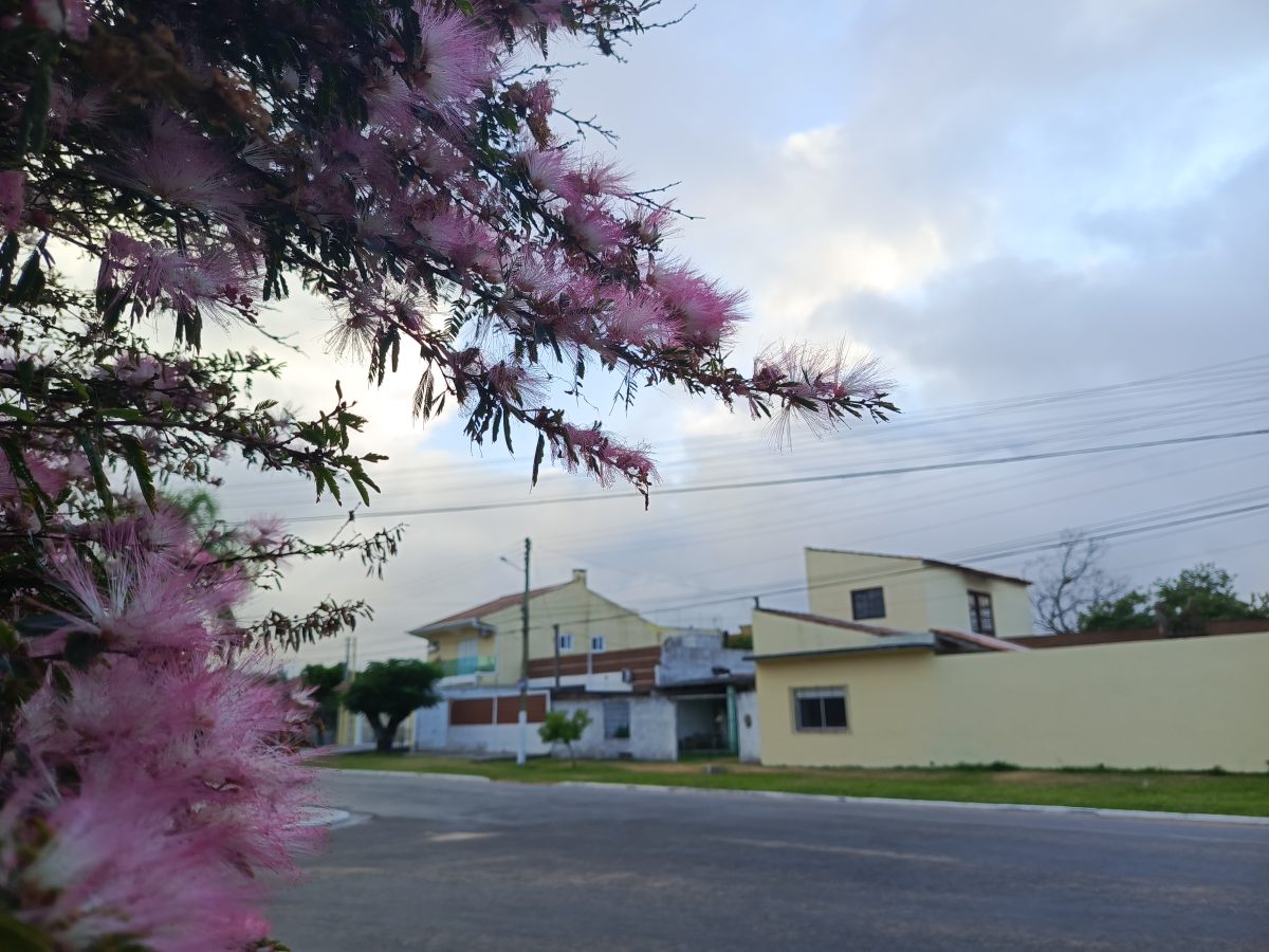 Domingo será de céu nublado na Zona Sul do Estado