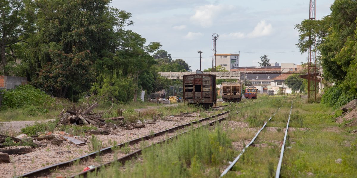 Investimentos em ferrovias podem diminuir 22% do custo logístico ao Porto