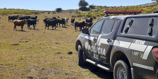 Polícia Civil alerta para casos de abigeato e recomenda cuidados na hora da compra de carne
