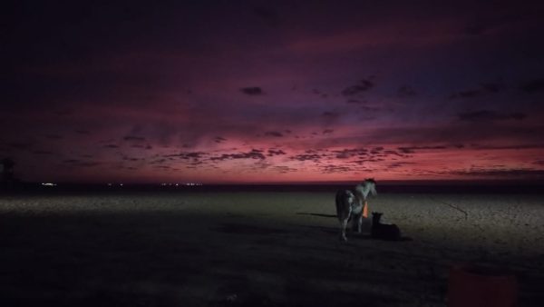 Quarta-feira com céu parcialmente nublado e temperatura mais elevada