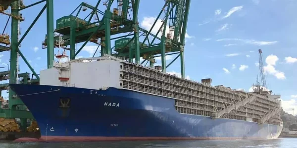 Maior navio boiadeiro do mundo parte de Rio Grande