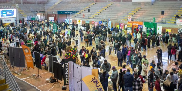 Balanço do Emprega Pelotas indica 242 contratações encaminhadas