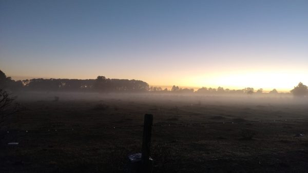 Inverno começa com 7ºC em Pelotas e cerração