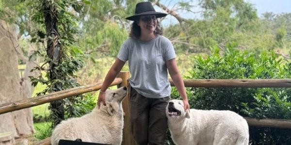 “A comissão tem o objetivo de trabalhar em prol do agronegócio canguçuense”