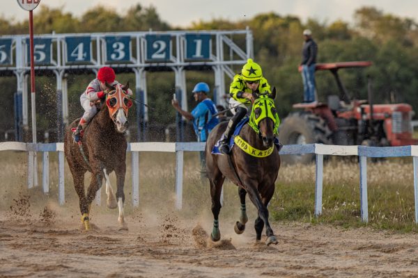 Com quatro páreos, Jockey Club de Pelotas abre nova temporada