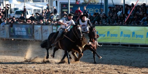 Expointer terá diversos representantes da Zona Sul