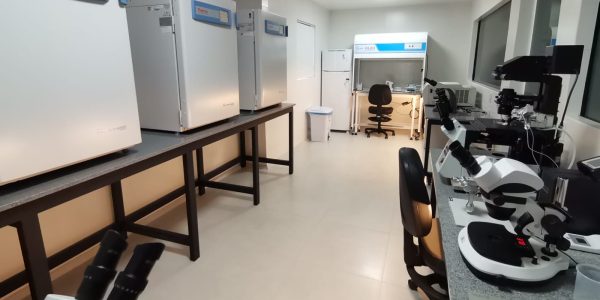 Pelotas passa a ter laboratório da maior rede de embriões in vitro do mundo