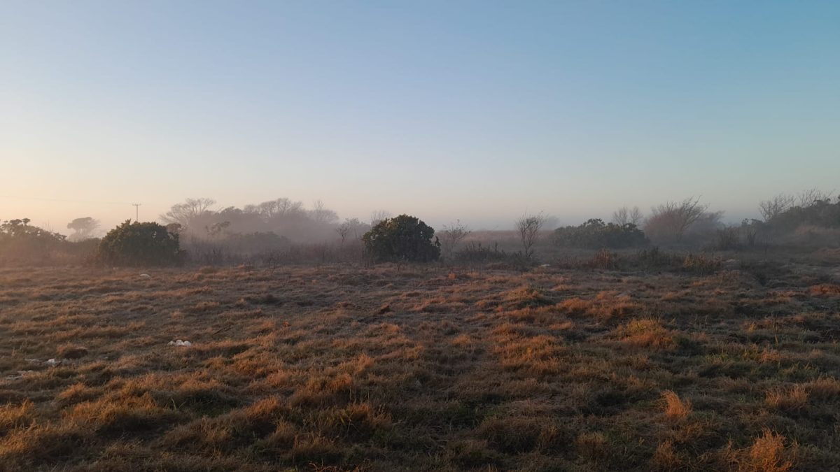 Semana inicia com onda de frio intenso na região Sul