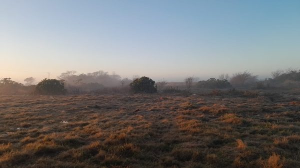 Semana inicia com onda de frio intenso na região Sul