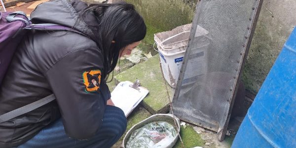 Dengue tipo 3 é identificada em Rio Grande e acende alerta na região