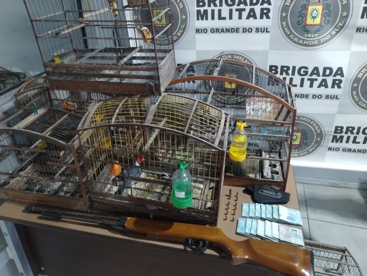 Brigada Militar prende homem por comércio ilegal e crime ambiental em Pelotas
