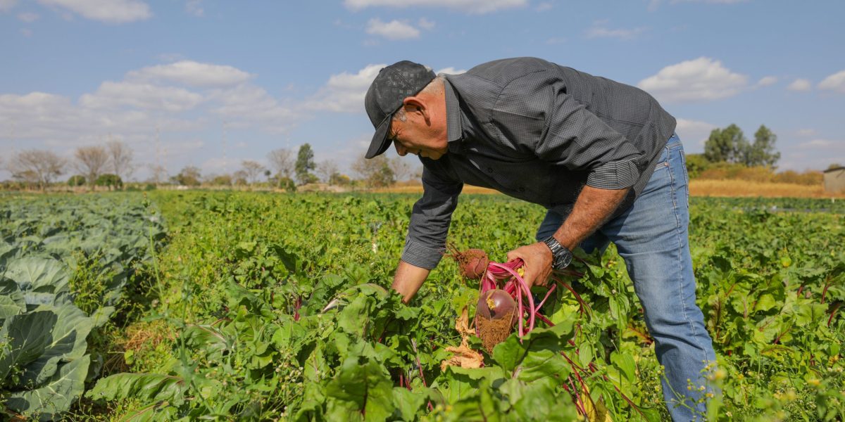 Projeto de aumento de produtos da agricultura familiar na merenda avança