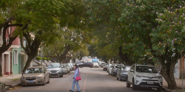 Dia da Árvore convida a repensar arborização urbana em Pelotas