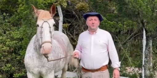 “O cavalo é um amigo, um companheiro e tem a capacidade de mudar a vida das pessoas”