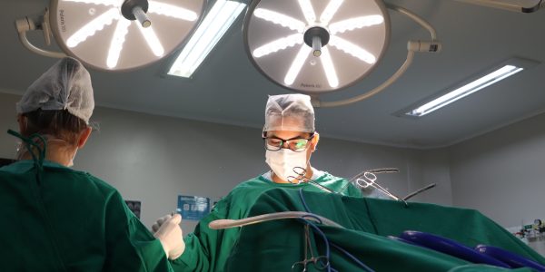 Medicina da UCPel conquista nota máxima do MEC