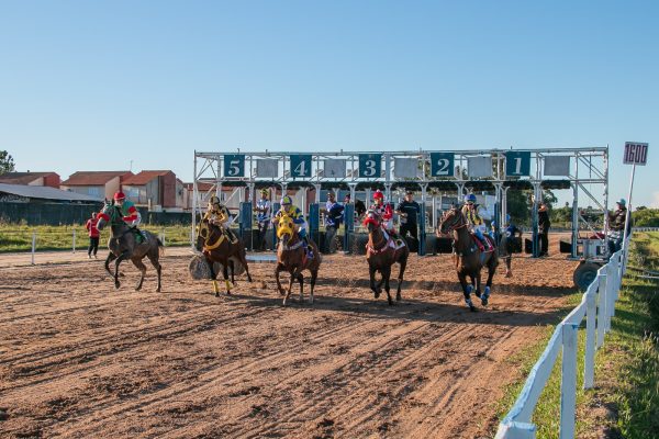 Reta e estreias movimentam domingo no Jockey Club de Pelotas