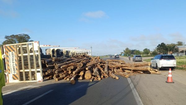 Caminhão carregado com toras de madeira tomba na BR-392