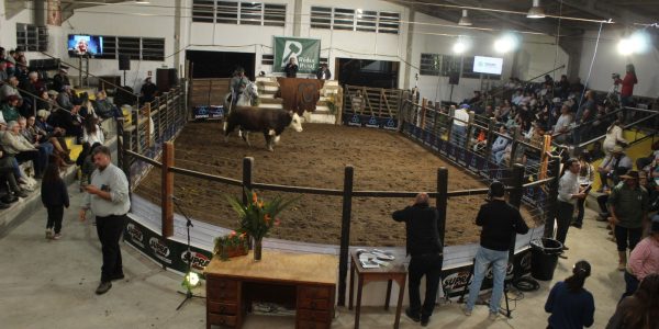 Zona Sul tem duas Expofeiras nesta semana