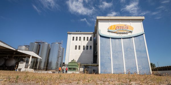 Produtores da Cosulati se reúnem para definir agenda de ações