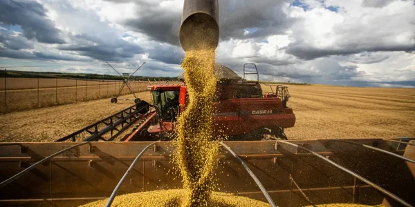 Safra da soja pode injetar mais de R$ 3 bilhões na economia da Zona Sul